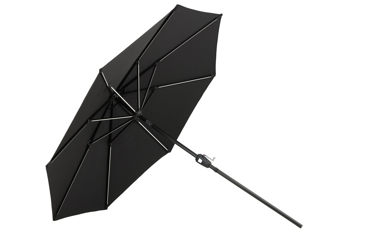 Sabal Parasol 270 x 241 x 270