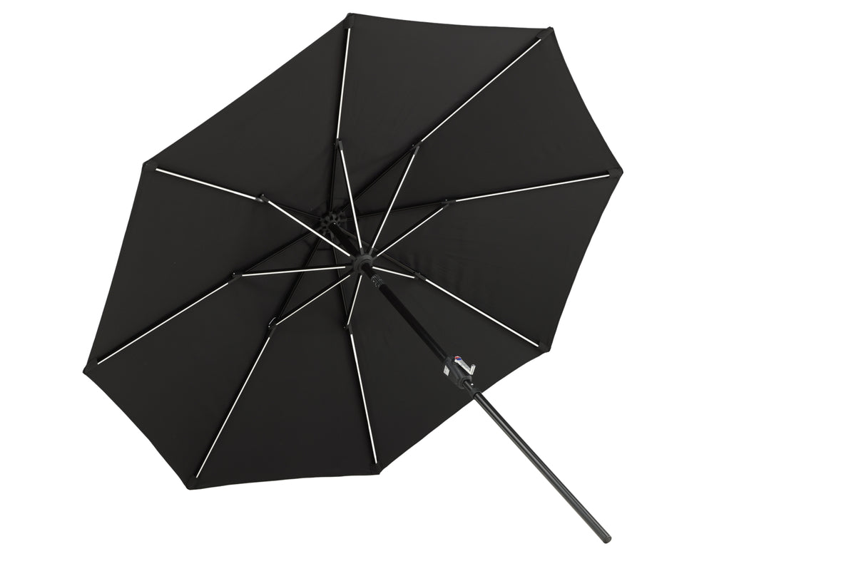 Sabal Parasol 270 x 241 x 270