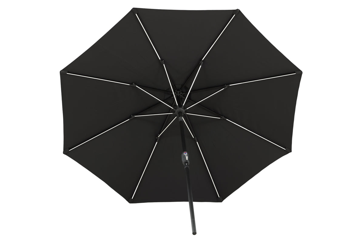 Sabal Parasol 270 x 241 x 270