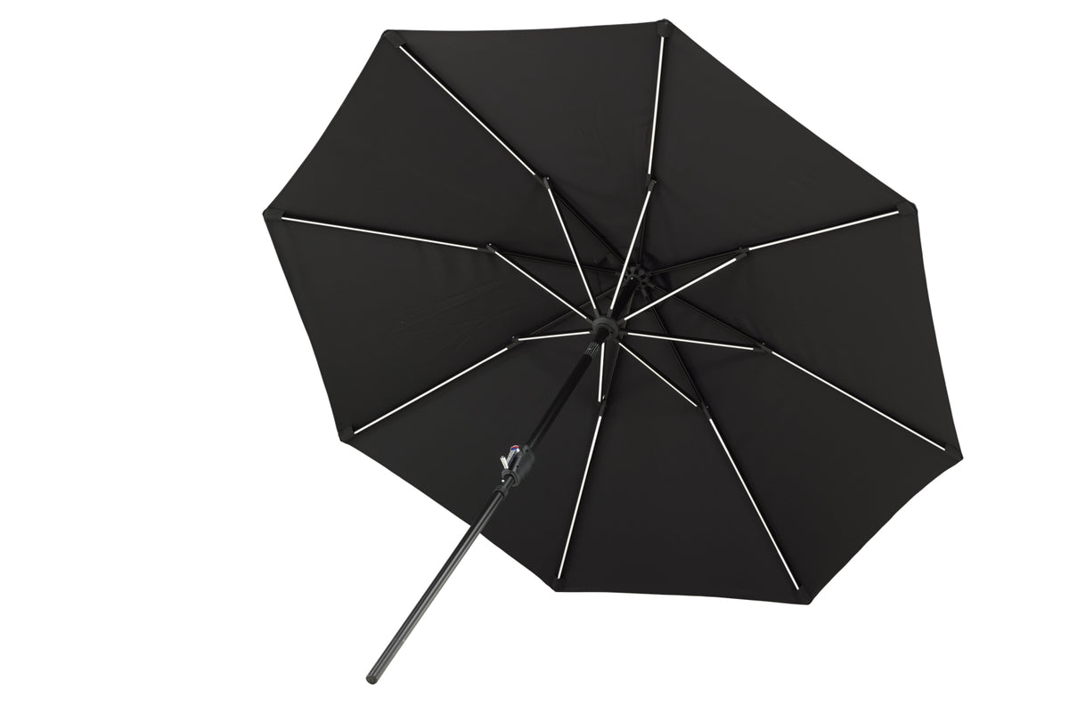 Sabal Parasol 270 x 241 x 270