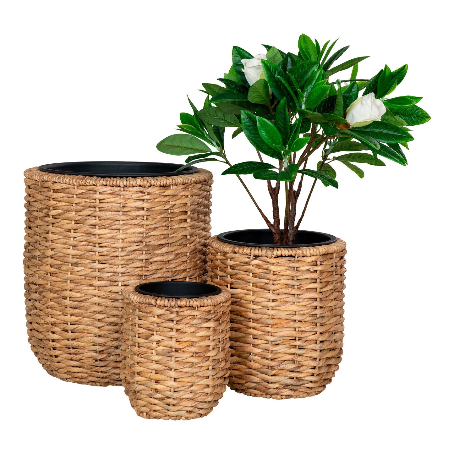 Hanoi Planteskjuler