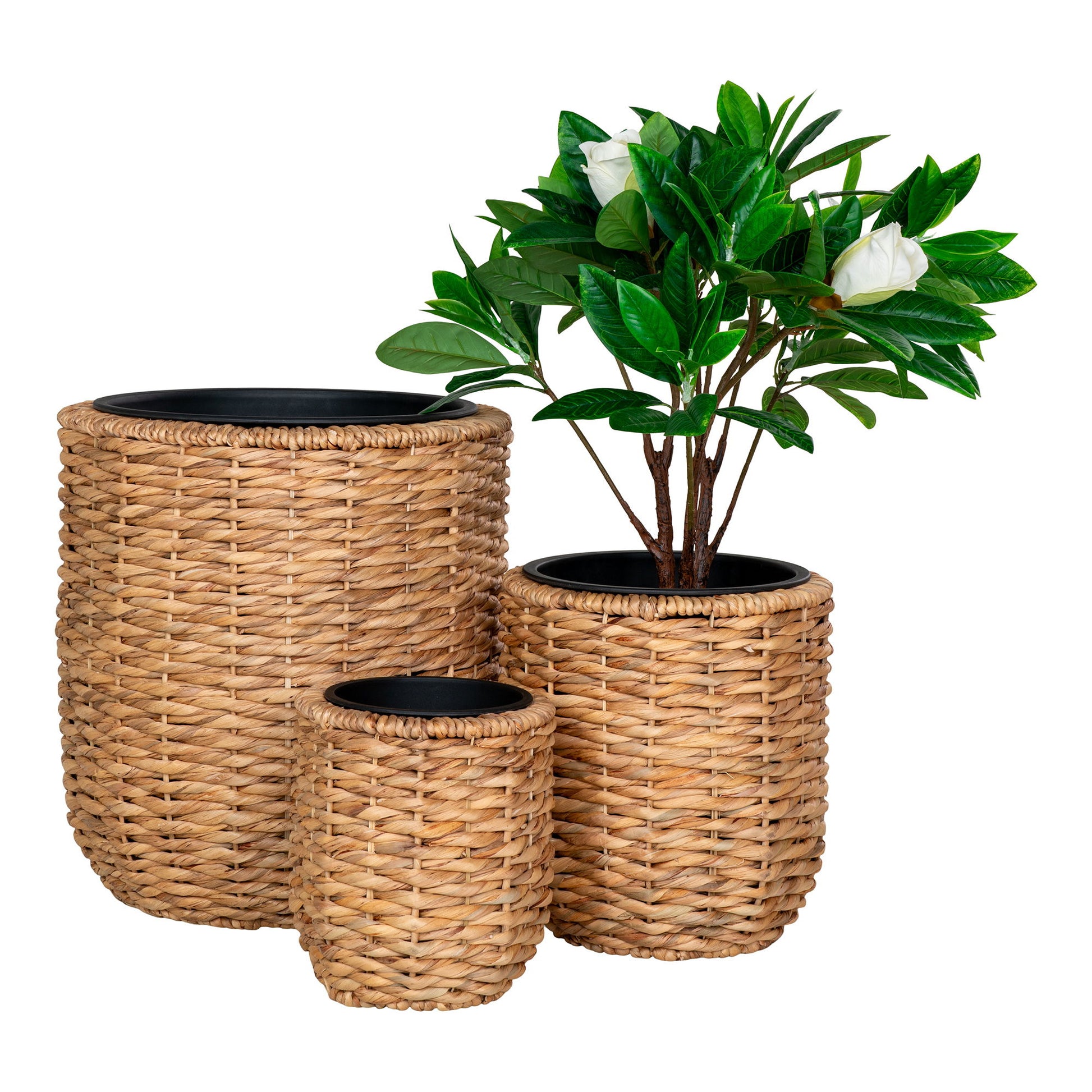 Hanoi Planteskjuler