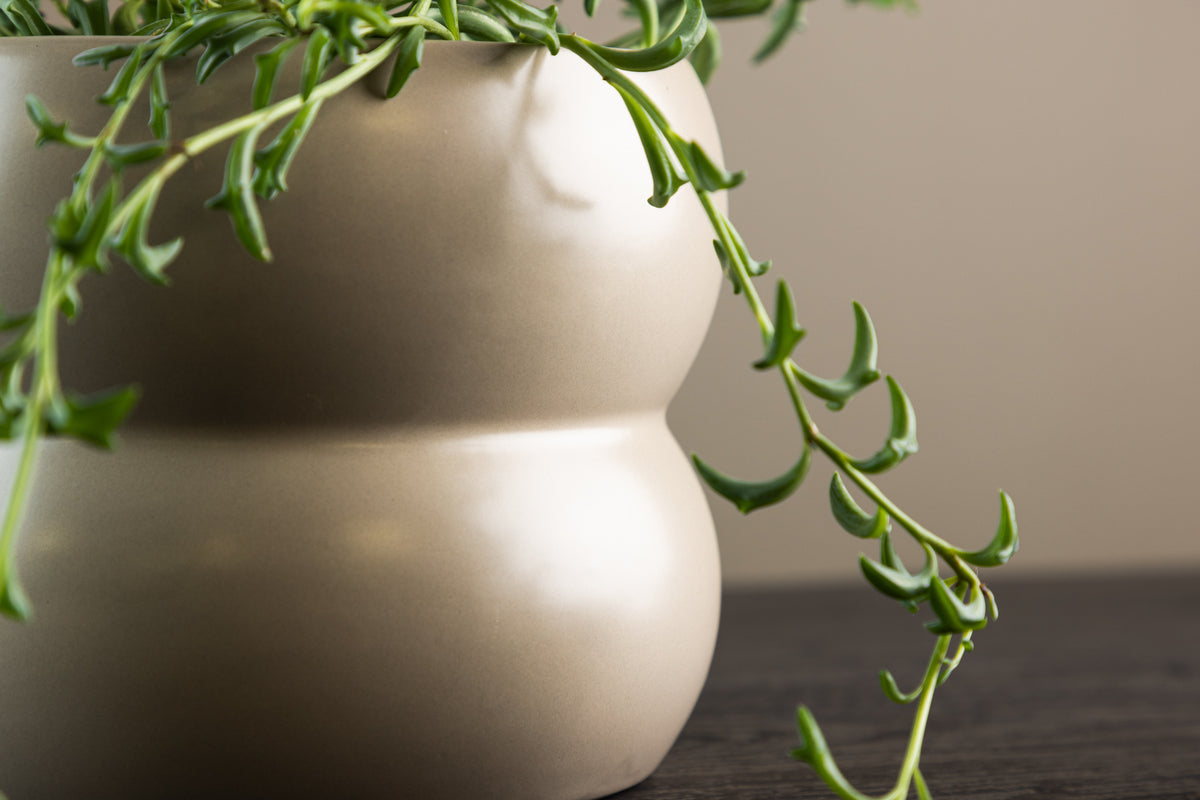 Dapne Pot ø16 Mat beige