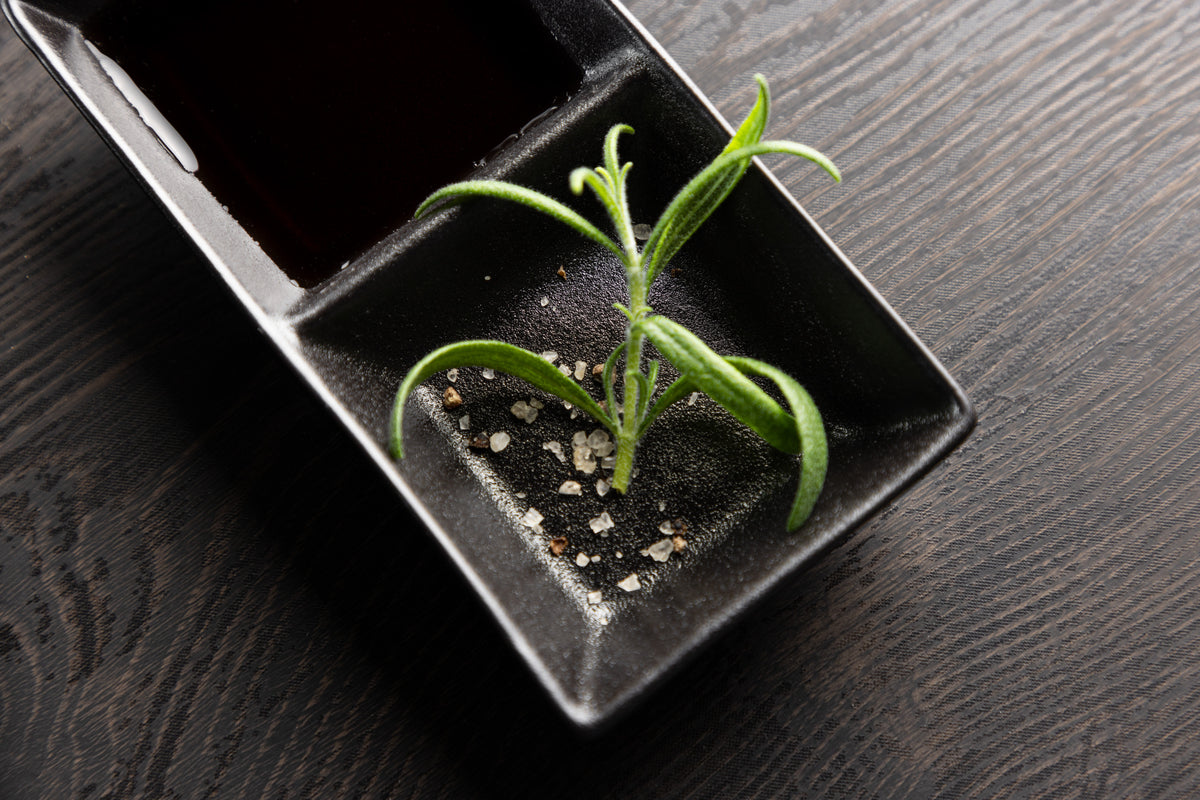 Wabi Sabi Sauce Skål 8 x 15 2-pak Sort