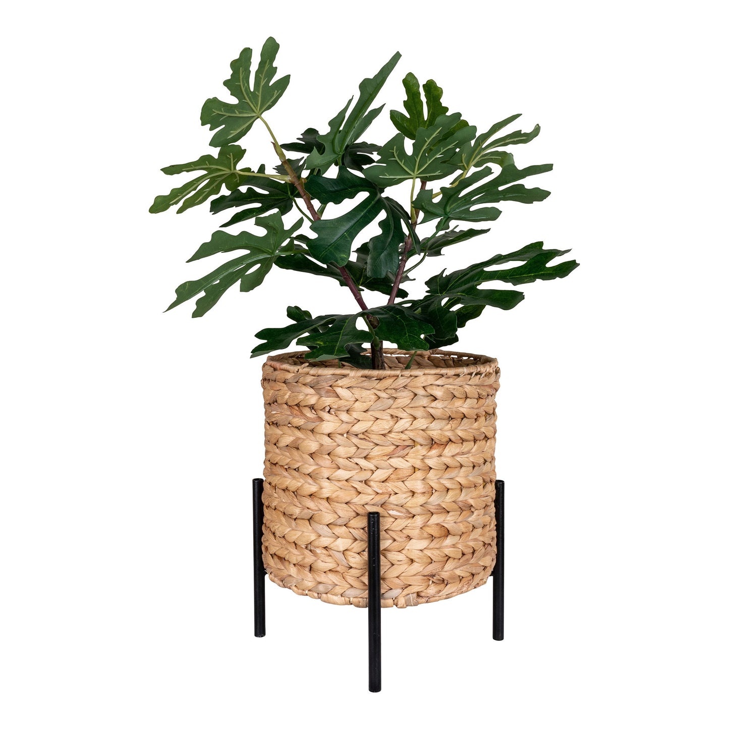 Antas Planteskjuler
