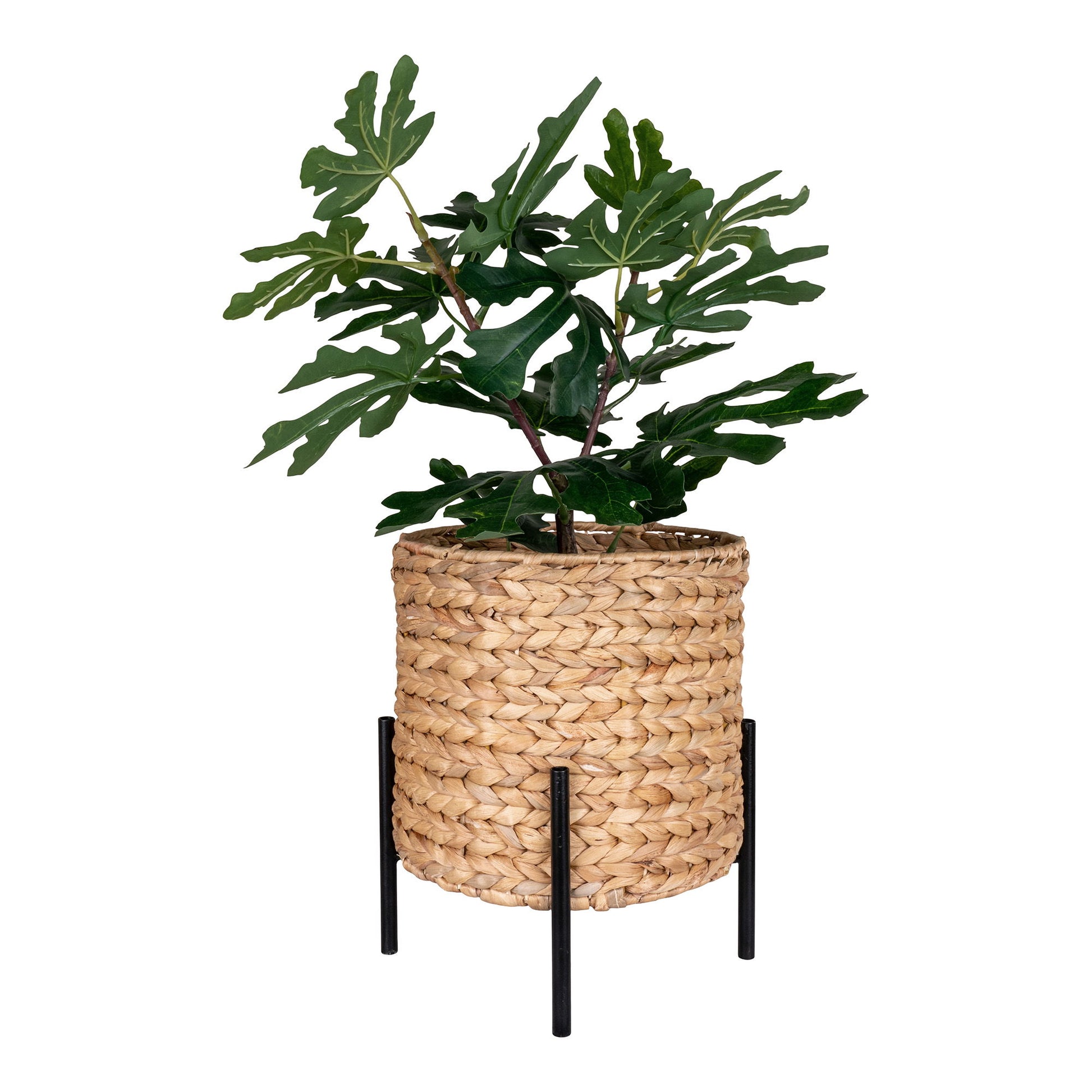Antas Planteskjuler