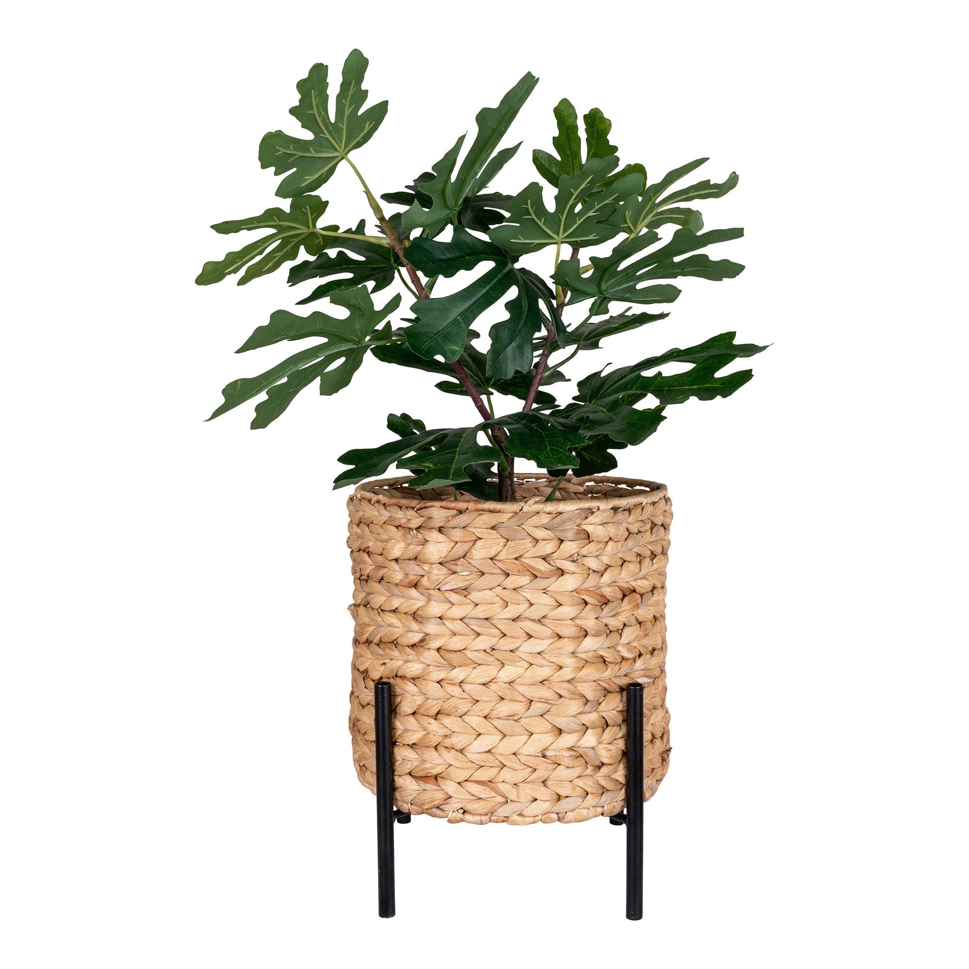Antas Planteskjuler