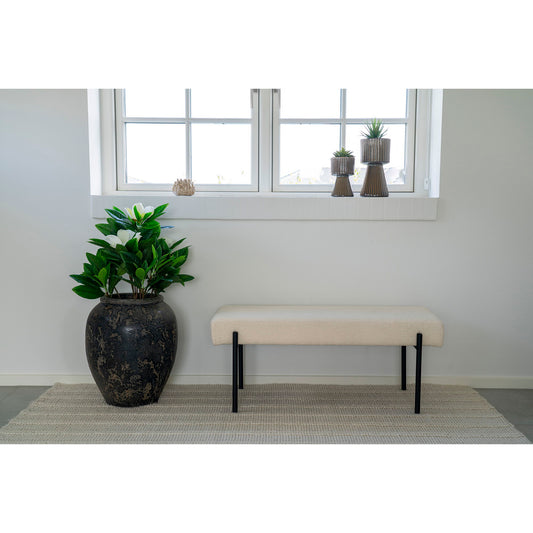 Capelo Dekorationskrukke