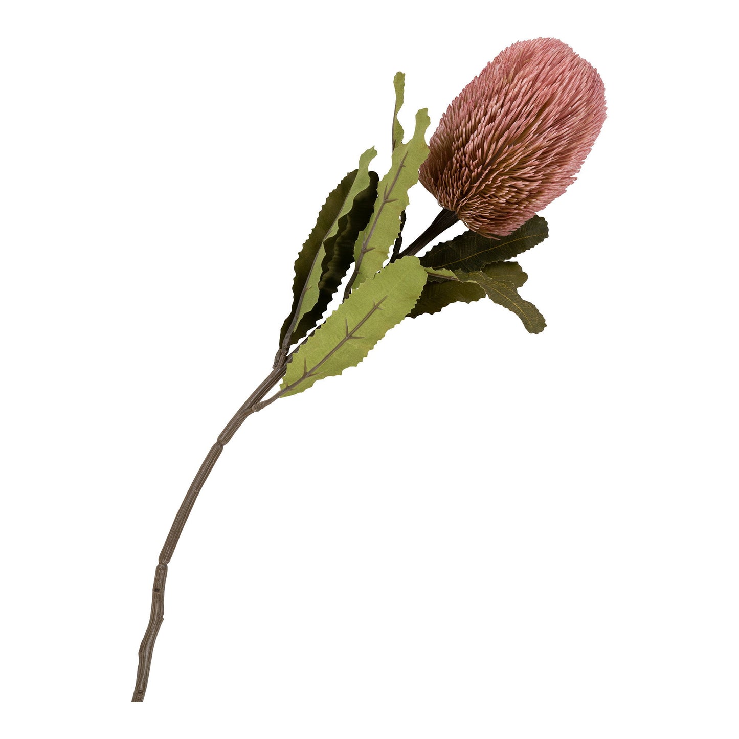 King Protea Buket