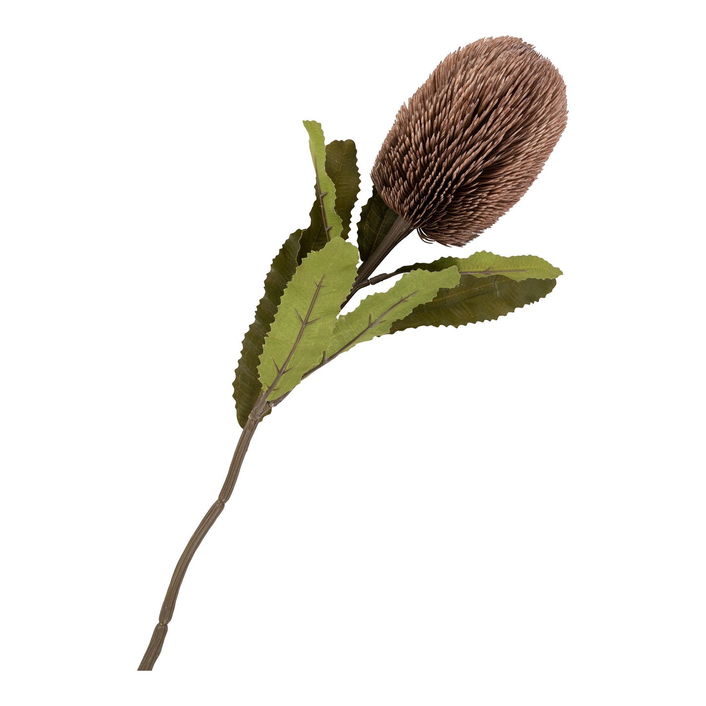 King Protea Buket