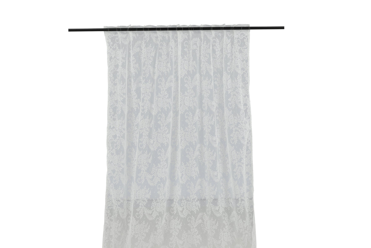 Daisy Gardiner 240 x 140