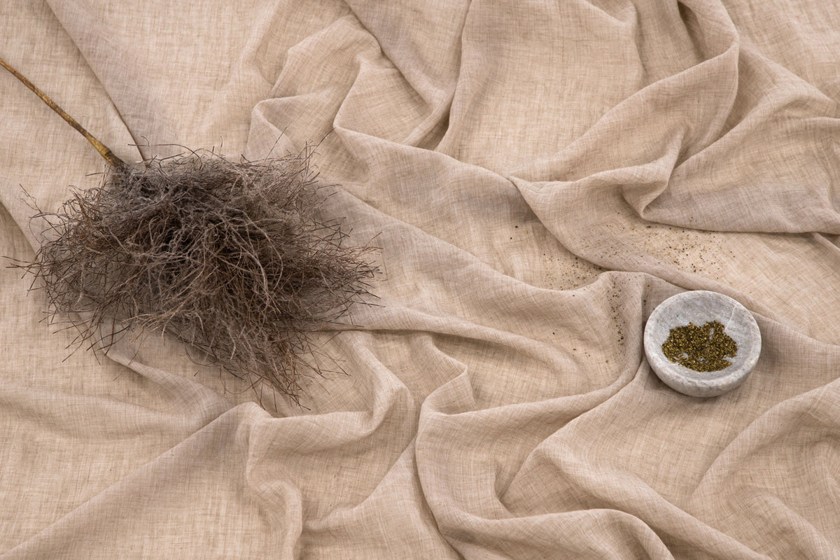 Elena Gardiner 290 × 135