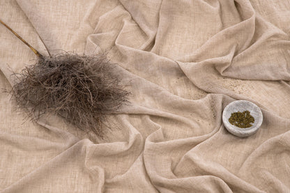 Elena Gardiner 290 × 135