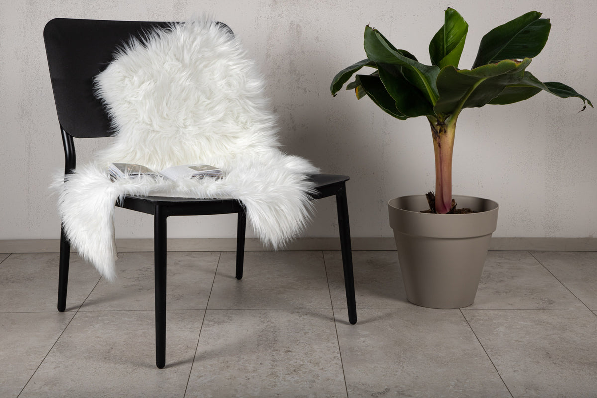 Katy Plaider 90 x 60