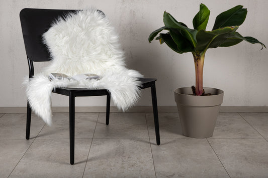 Katy Plaider 90 x 60