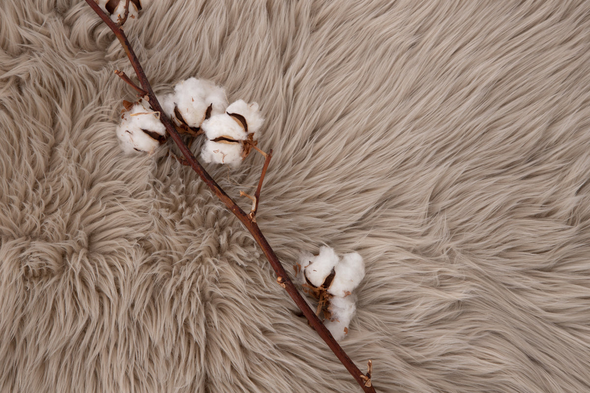 Katy Plaider 90 x 60