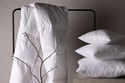 Ebba Inderpude 40 x 60