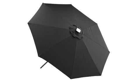 Sabal Parasol 270 x 241 x 270