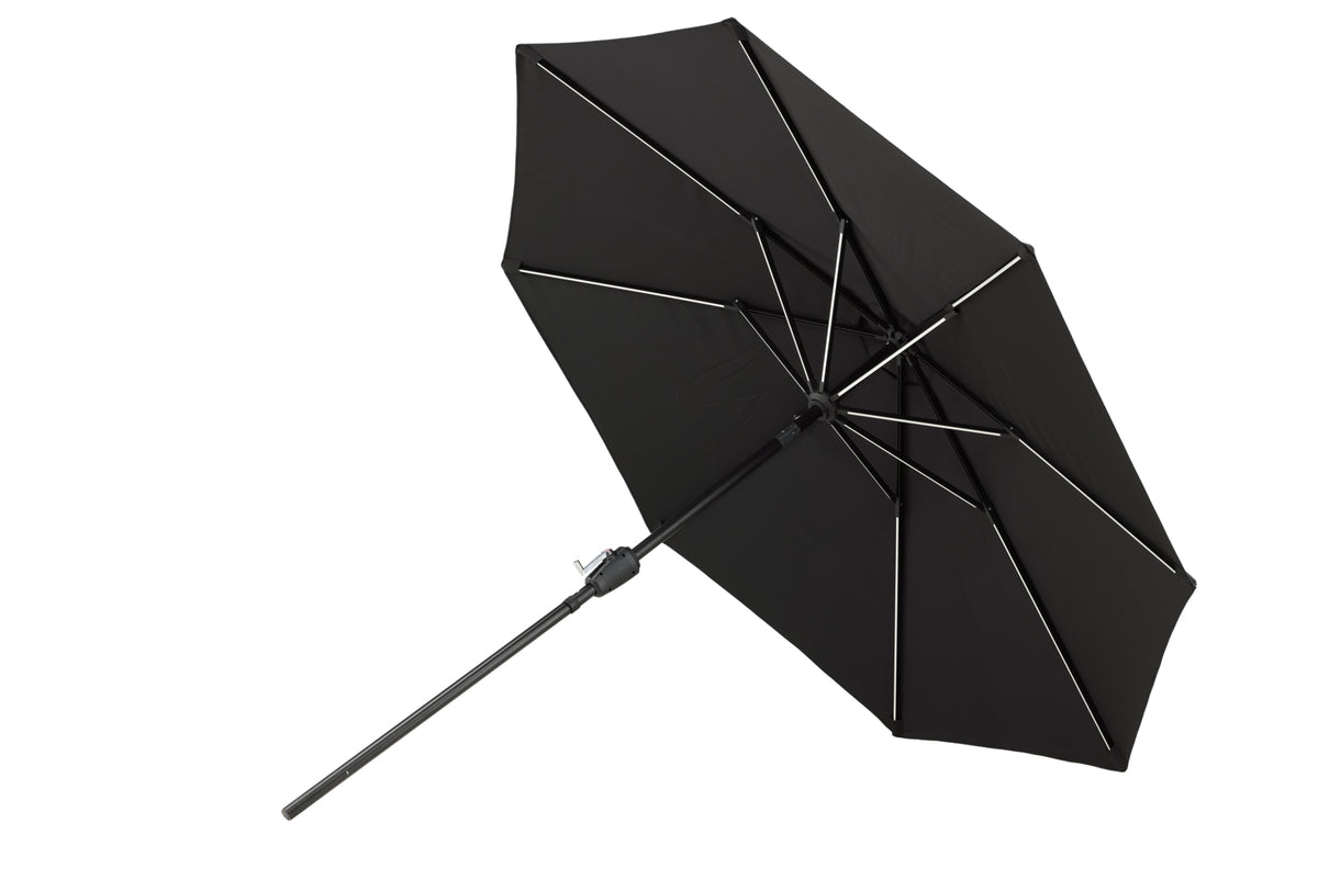 Sabal Parasol 270 x 241 x 270
