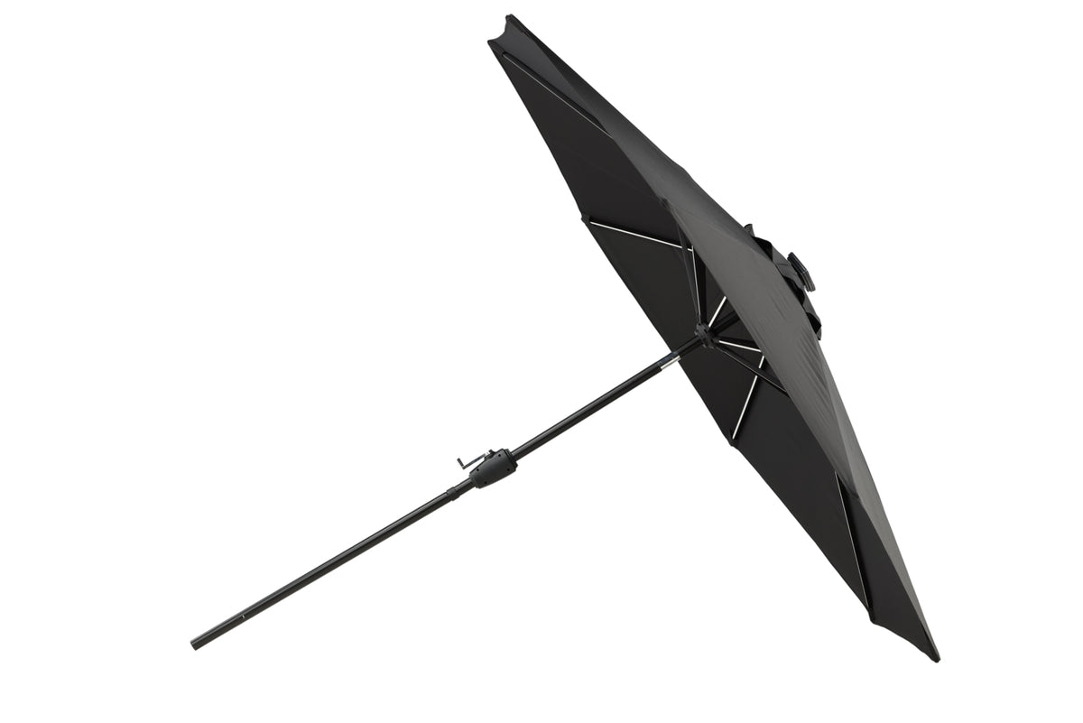 Sabal Parasol 270 x 241 x 270