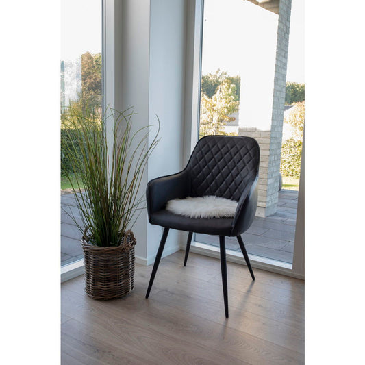 Lammeskindshynde Imiteret