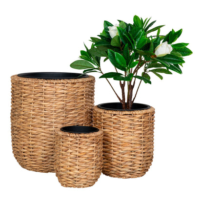 Hanoi Planteskjuler