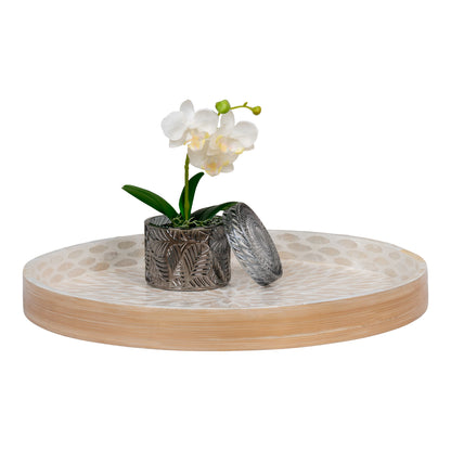 Bakke