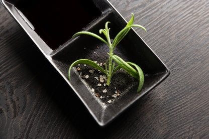 Wabi Sabi Sauce Skål 8 x 15 2-pak Sort