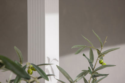 Lazio Pergola 295 x 250 x 295