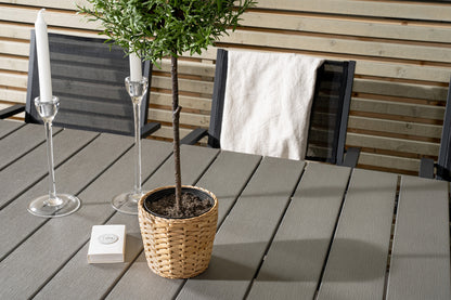 Levels & Copacabana Rektangulært Spisebord 160x100x75 Sort + Spisestole Sort