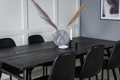 Rektangulært spisebord 195 x 95 Sort + Spisebordsstol 2-pak Sort