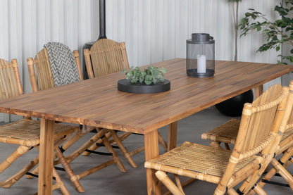 Plankton, Cane Spisegrupper Natur Natur