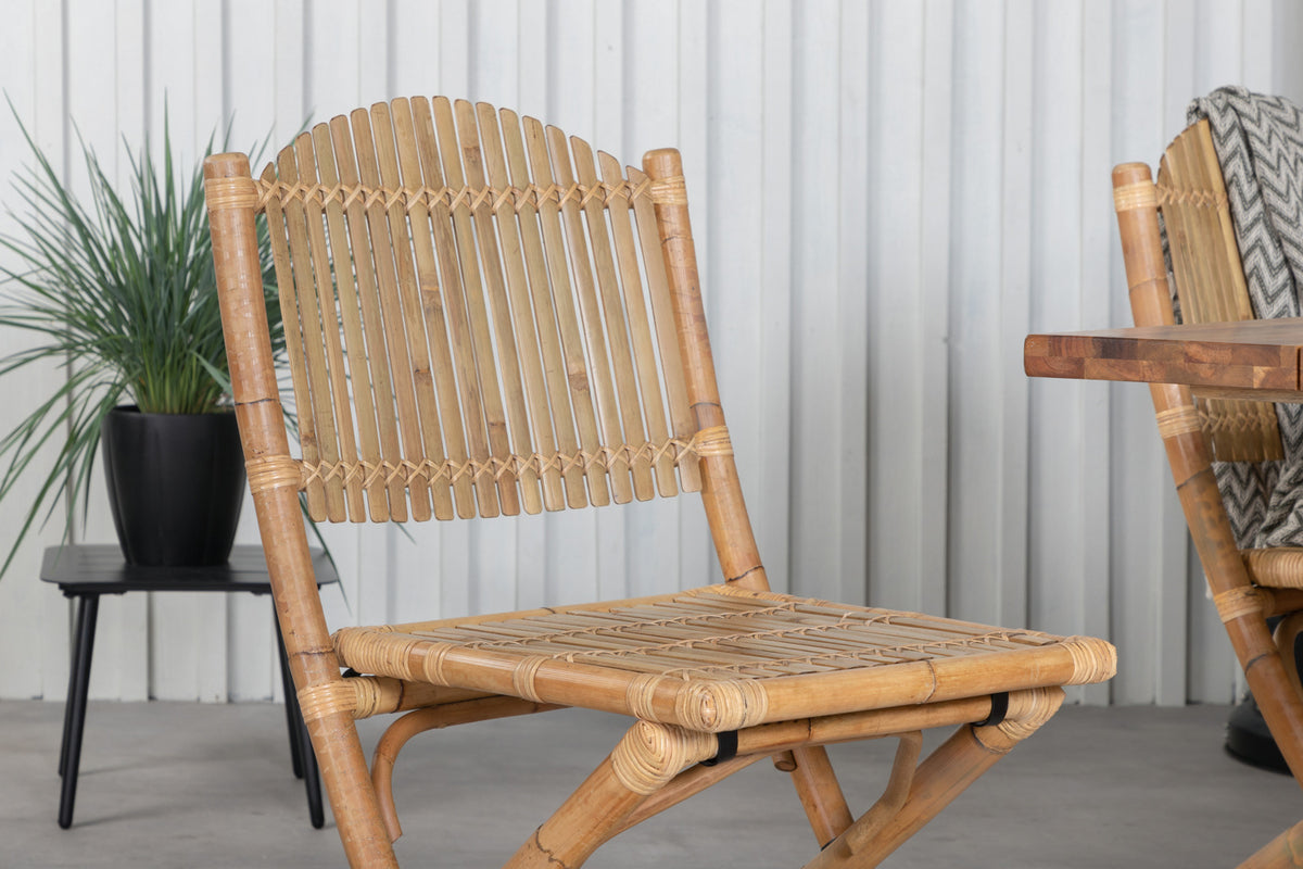 Plankton, Cane Spisegrupper Natur Natur