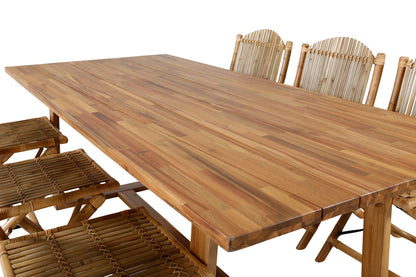 Plankton, Cane Spisegrupper Natur Natur