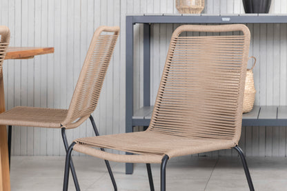 Plankton, Lindos Spisegrupper Brun Natur