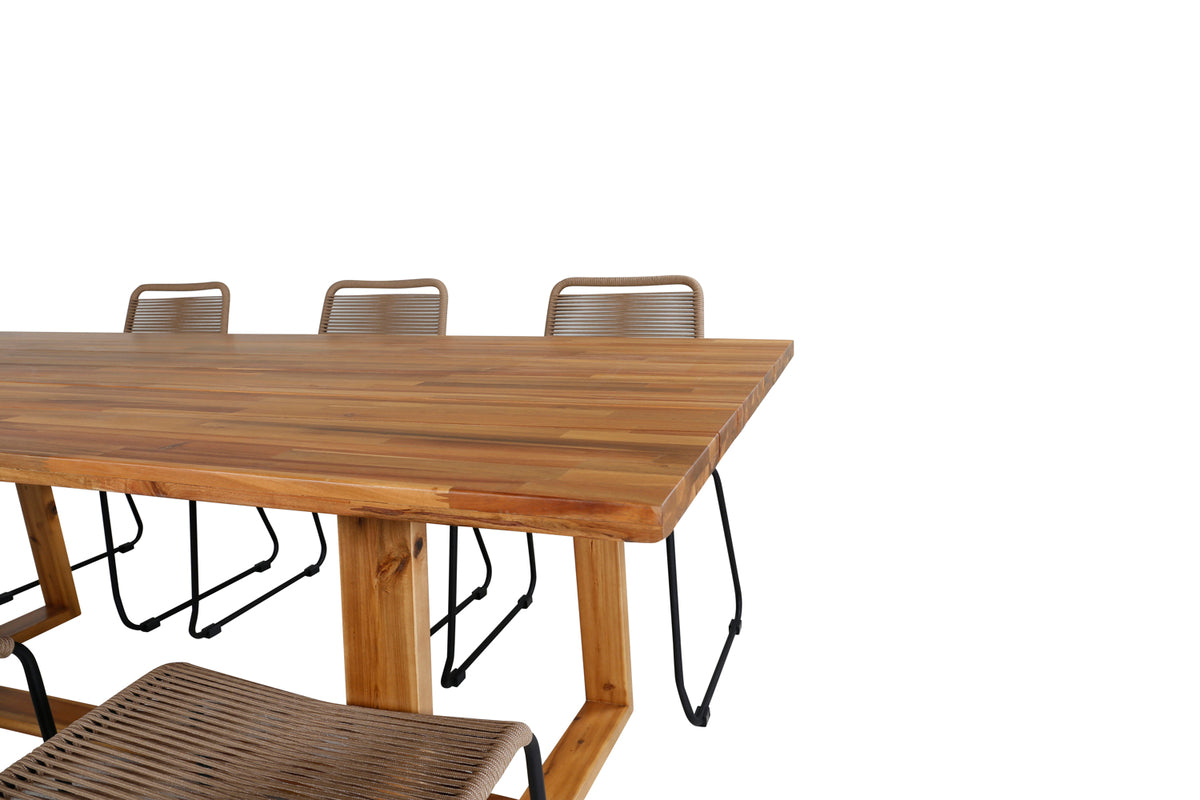 Plankton, Lindos Spisegrupper Brun Natur