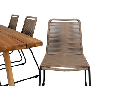 Plankton, Lindos Spisegrupper Brun Natur