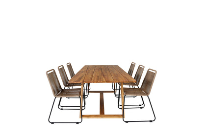 Plankton, Lindos Spisegrupper Brun Natur