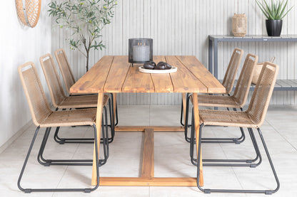 Plankton, Lindos Spisegrupper Brun Natur