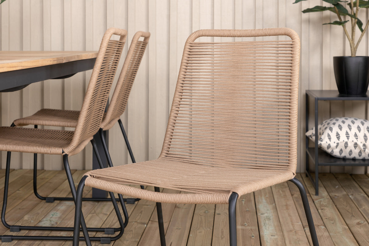 Panama, Lindos Spisegrupper Brun Natur