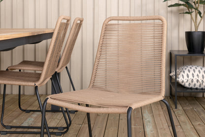 Panama, Lindos Spisegrupper Brun Natur