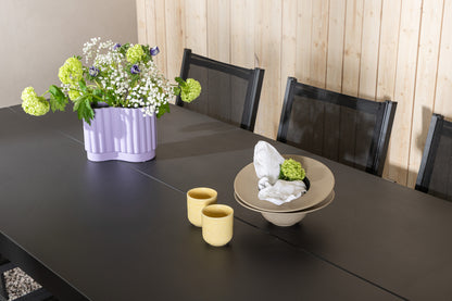 Rektangulært spisebord 200 x 100 Sort + Spisebordsstol 2-pak Sort