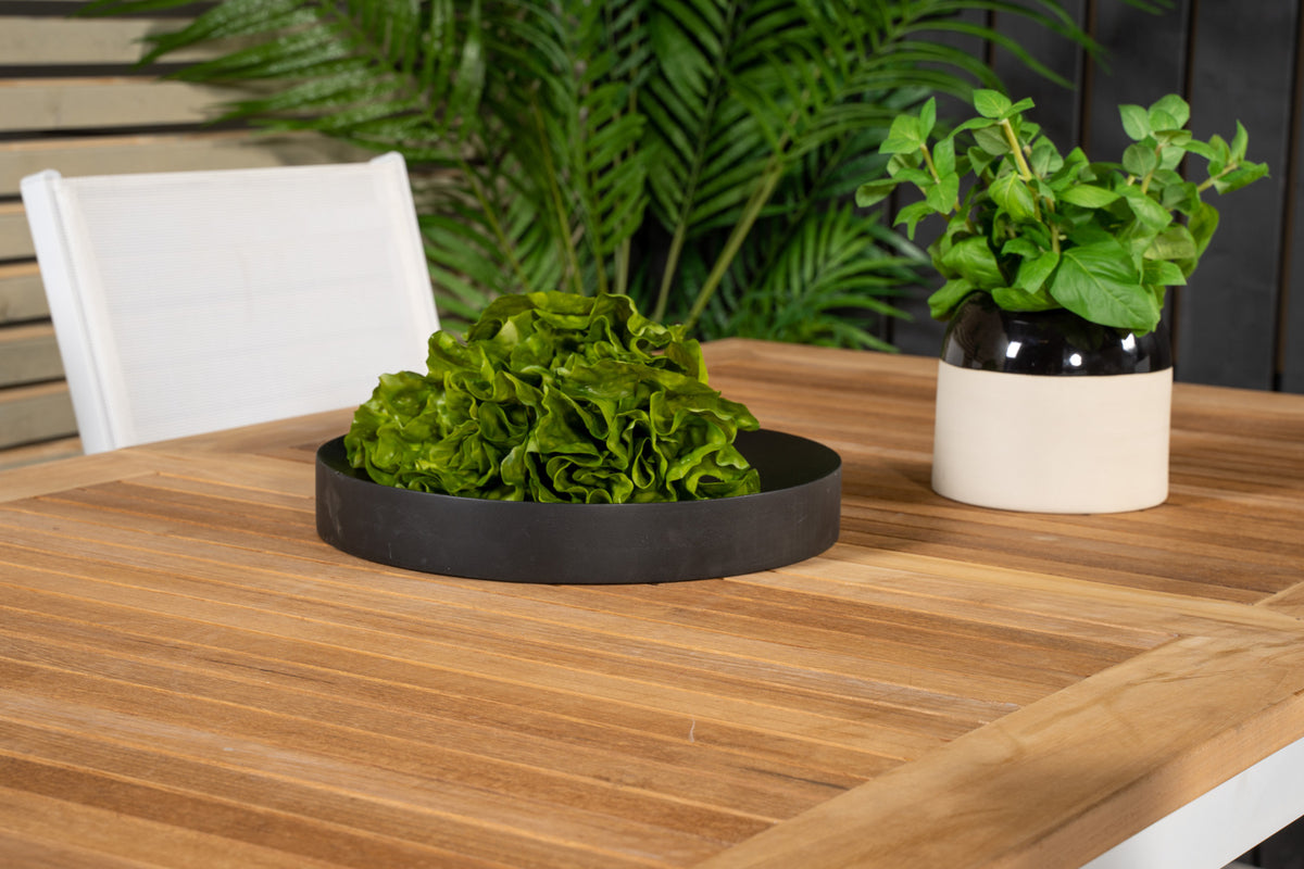 Texas & Panama Spisestole Hvid + Spisebord 160 x 90