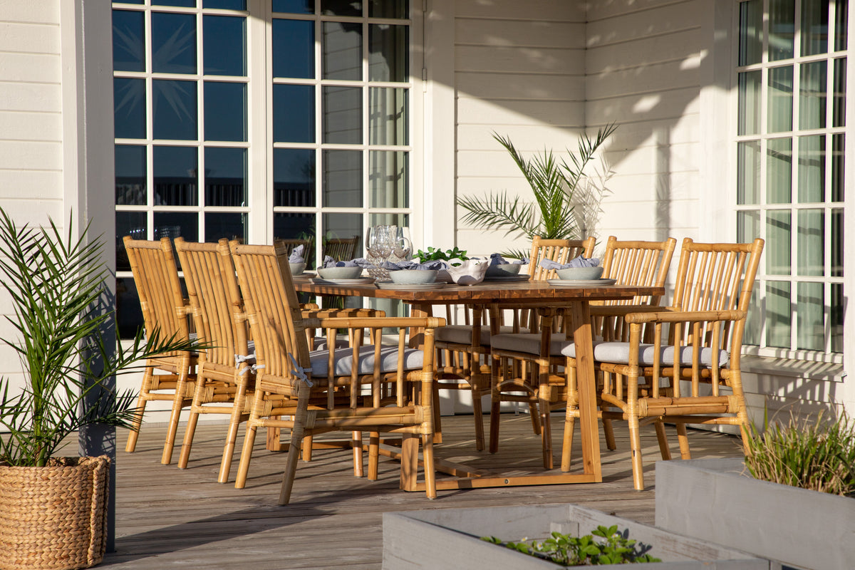 Cane & Plankton Spisestole Natur + Spisebord 220x100