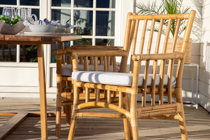 Cane & Plankton Spisestole Natur + Spisebord 220x100