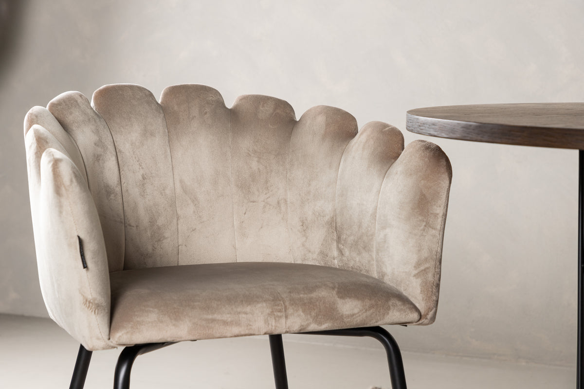 Limhamn & Stone Spisebordsstol 2-pak Beige + Ovalt Spisebord 220 x 100 Mocca