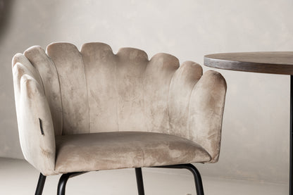 Limhamn & Stone Spisebordsstol 2-pak Beige + Ovalt Spisebord 220 x 100 Mocca