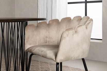 Limhamn & Stone Spisebordsstol Beige + Oval Spisebord 220 x 100 Mocca