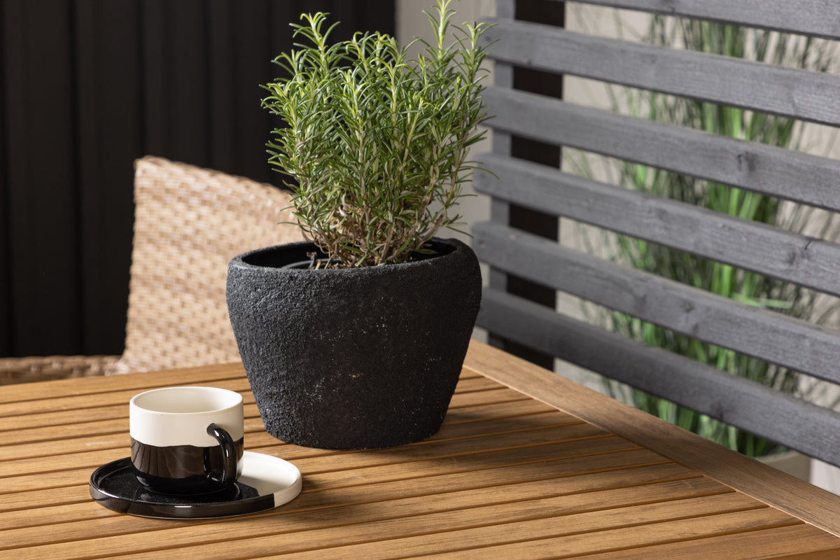 Malina & Diego Spisestole 2-pak Natur + Cafebord 70 x 70 Sort