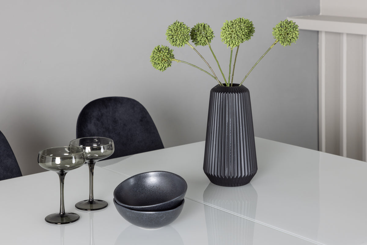 Rektangulært spisebord 120 x 90 Hvid + Spisebordsstol 2-pak Sort